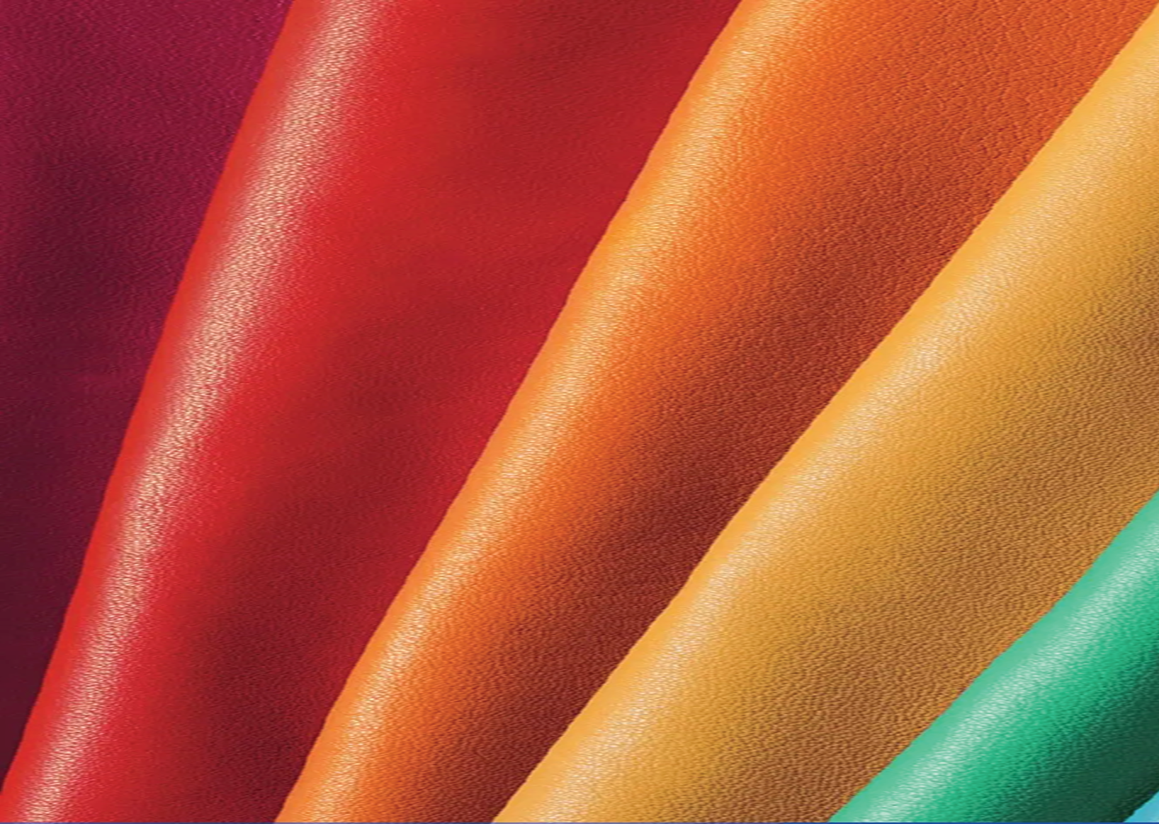 Dyes & Dyeing Auxiliaries