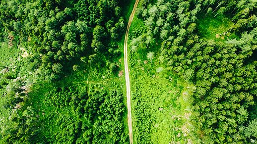 Sustainable & Specialty Solutions