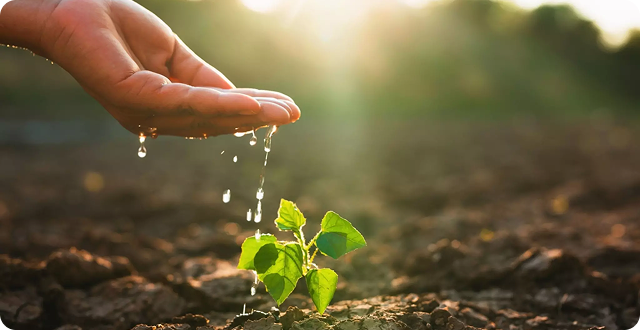 Sustainability Image